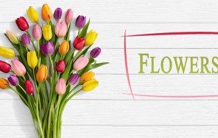 Цікаве від Flowers.ua: які квіти обрати, що вони символізують та як за ними доглядати?