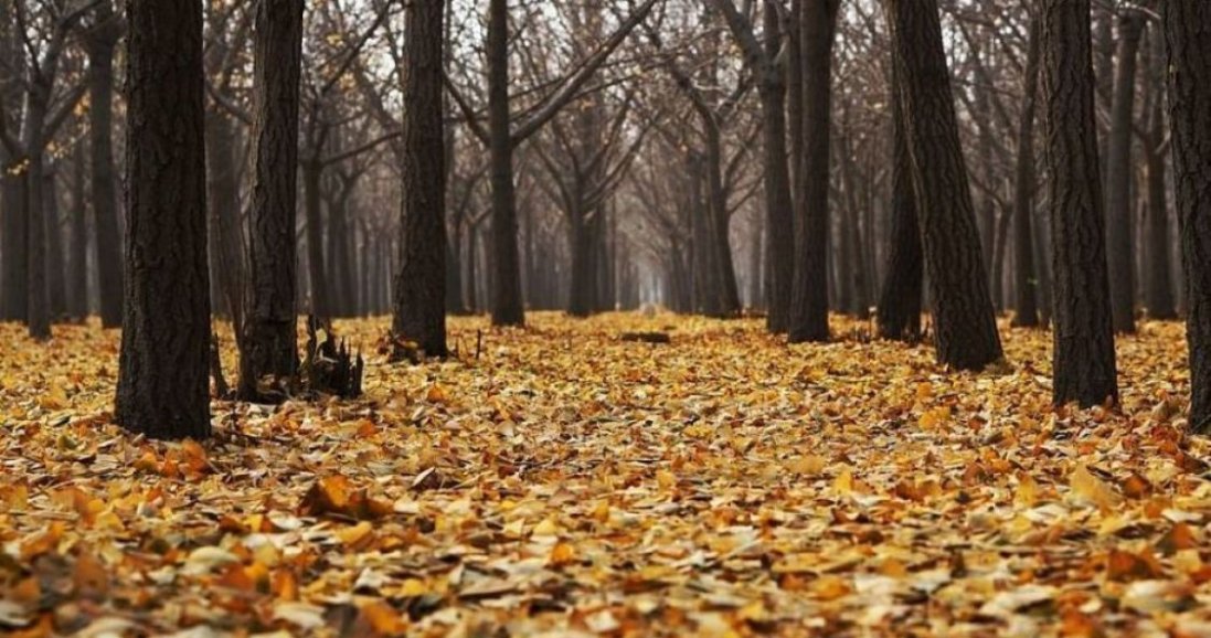 Прийде похолодання на зміну теплим дням: синоптик  про погоду в Україні