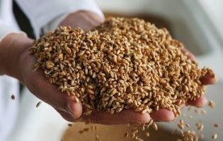 росія висунула умову для обговорення повернення до «зернової угоди»