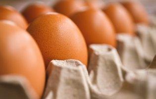 В Україні почали знижуватися оптові ціни на яйця