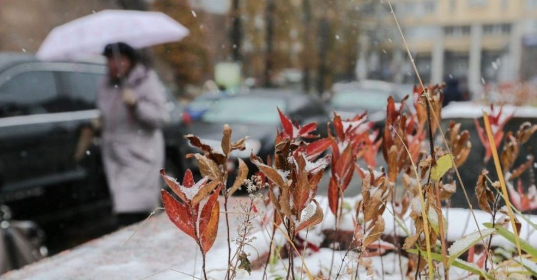 Опади у вигляді дощу та мокрого снігу: прогноз погоди в Україні на 26-27 листопада