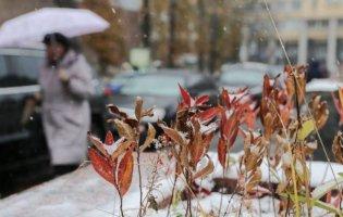 Опади у вигляді дощу та мокрого снігу: прогноз погоди в Україні на 26-27 листопада