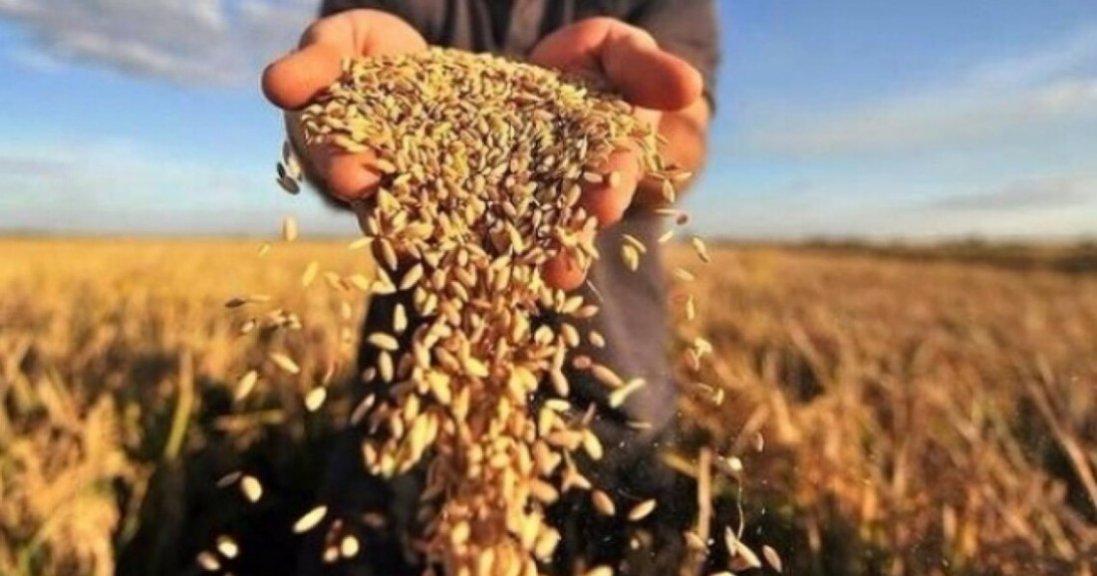 Україна експортувала агропродукції на $21,1 млрд