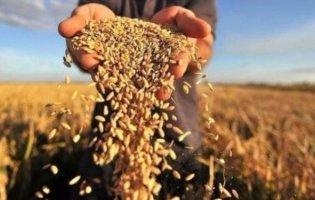 Україна експортувала агропродукції на $21,1 млрд