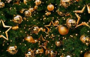 Скільки грошей у Луцьку та інших містах витратили на новорічні ялинки