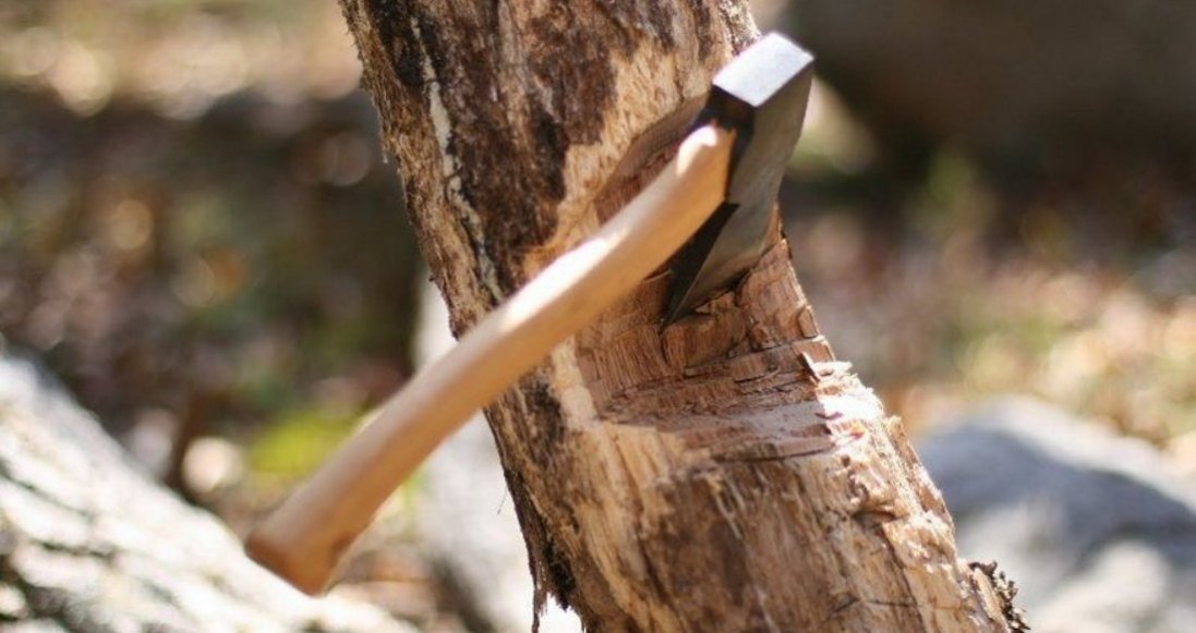 Опалювальний сезон в окупованій Луганщині: дерева вже майже зникли