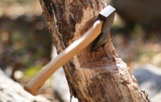 Опалювальний сезон в окупованій Луганщині: дерева вже майже зникли