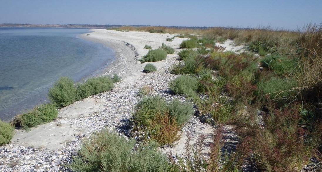 Яка ситуація на Кінбурнській косі