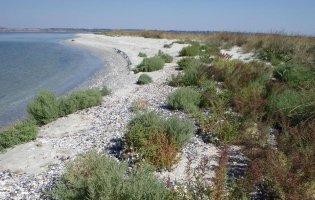 Яка ситуація на Кінбурнській косі