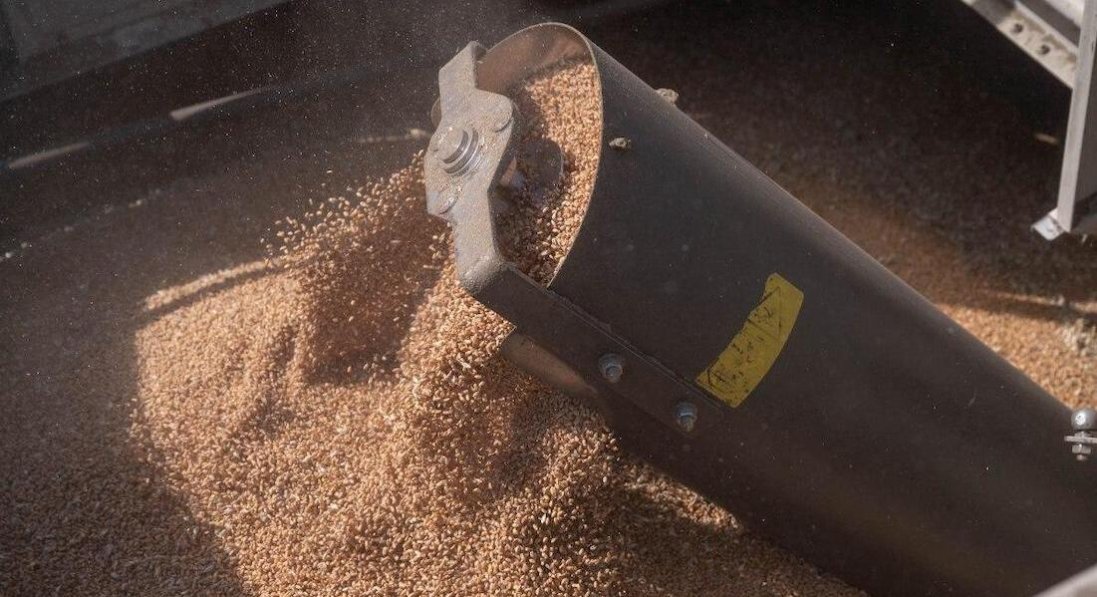 Через Маріуполь росіяни вивозять вкрадене зерно