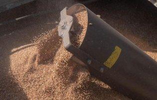 Через Маріуполь росіяни вивозять вкрадене зерно