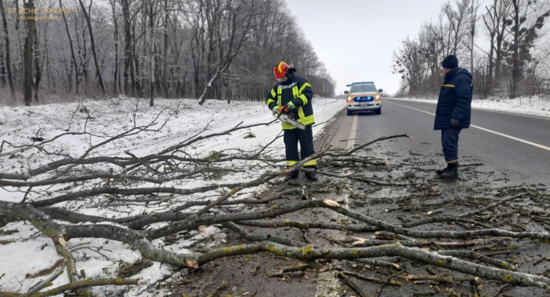 На дорогу Устилуг-Луцьк-Рівне впало дерево