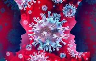 Чи є в Україні новий підвид коронавірусу