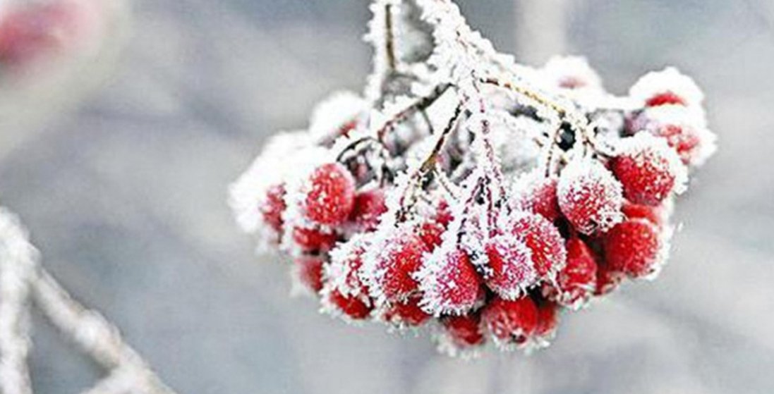 На Василя знову потеплішає:  прогноз погоди на 14 січня