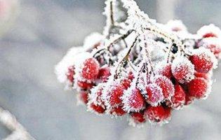 На Василя знову потеплішає:  прогноз погоди на 14 січня