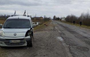На Камінь-Каширщині в аварії травмувалася водійка підводи