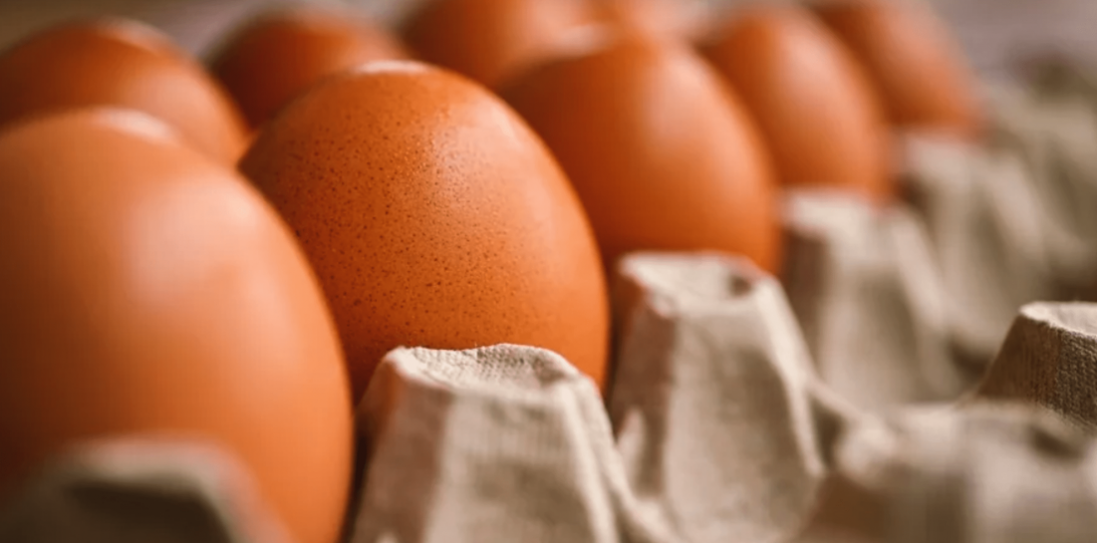 В Україні зміниться ціна на яйця: що треба знати