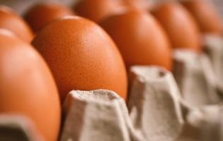 В Україні зміниться ціна на яйця: що треба знати