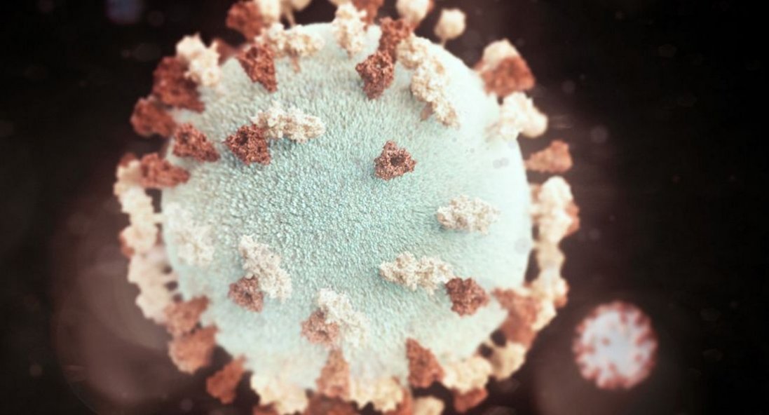 У Луцькому районі зафіксували нові випадки вірусного паротиту