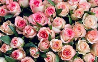 Идеальные букеты для всех времен года