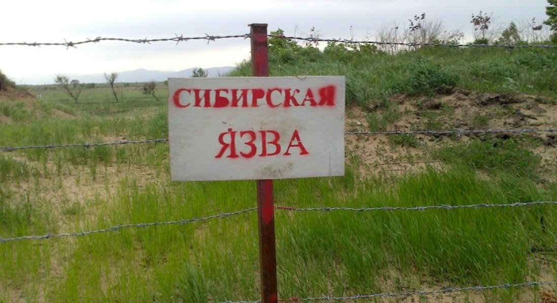 У Запорізькій області окупанти підчепили сибірку під час риття окопів
