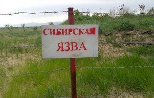 У Запорізькій області окупанти підчепили сибірку під час риття окопів