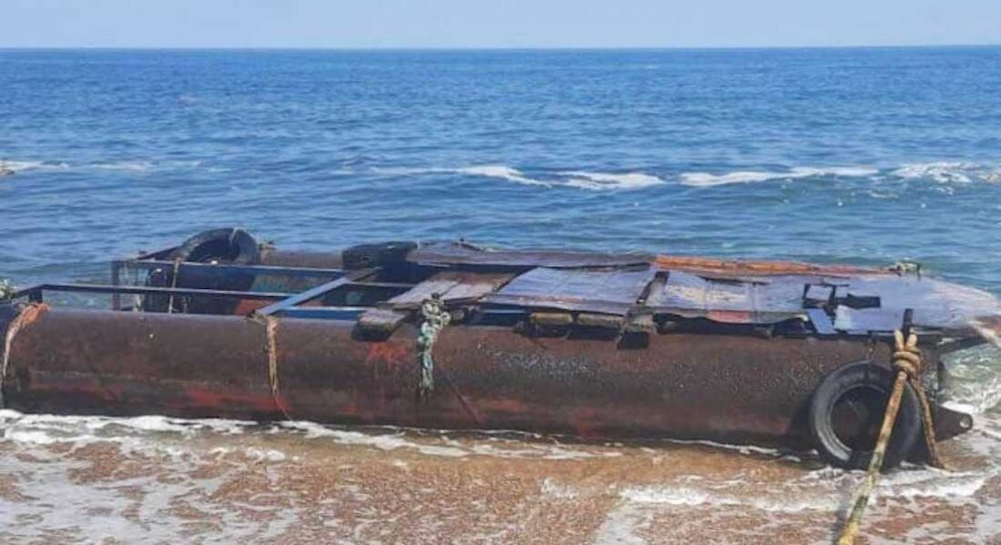 На Одещині море перетворюється на кладовище тварин