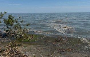 В Одесі зафіксували опріснення морської води