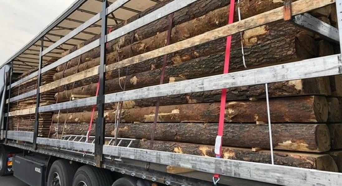 Через «Ягодин» підприємець хотів вивезти лісу на майже 54 тисячі