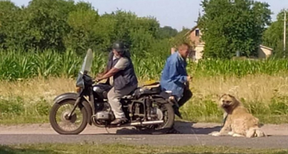 На Полтавщині чоловіки тягнули собаку за мотоциклом