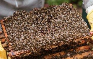 19 серпня 2023:  яке церковне свято, що не можна робити