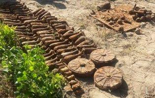 Копала картоплю: в Житомирі жінка знайшла 85 мін