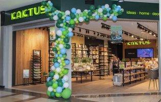 Посуда для сервировки стола дома: искусство создания гостеприимной атмосферы