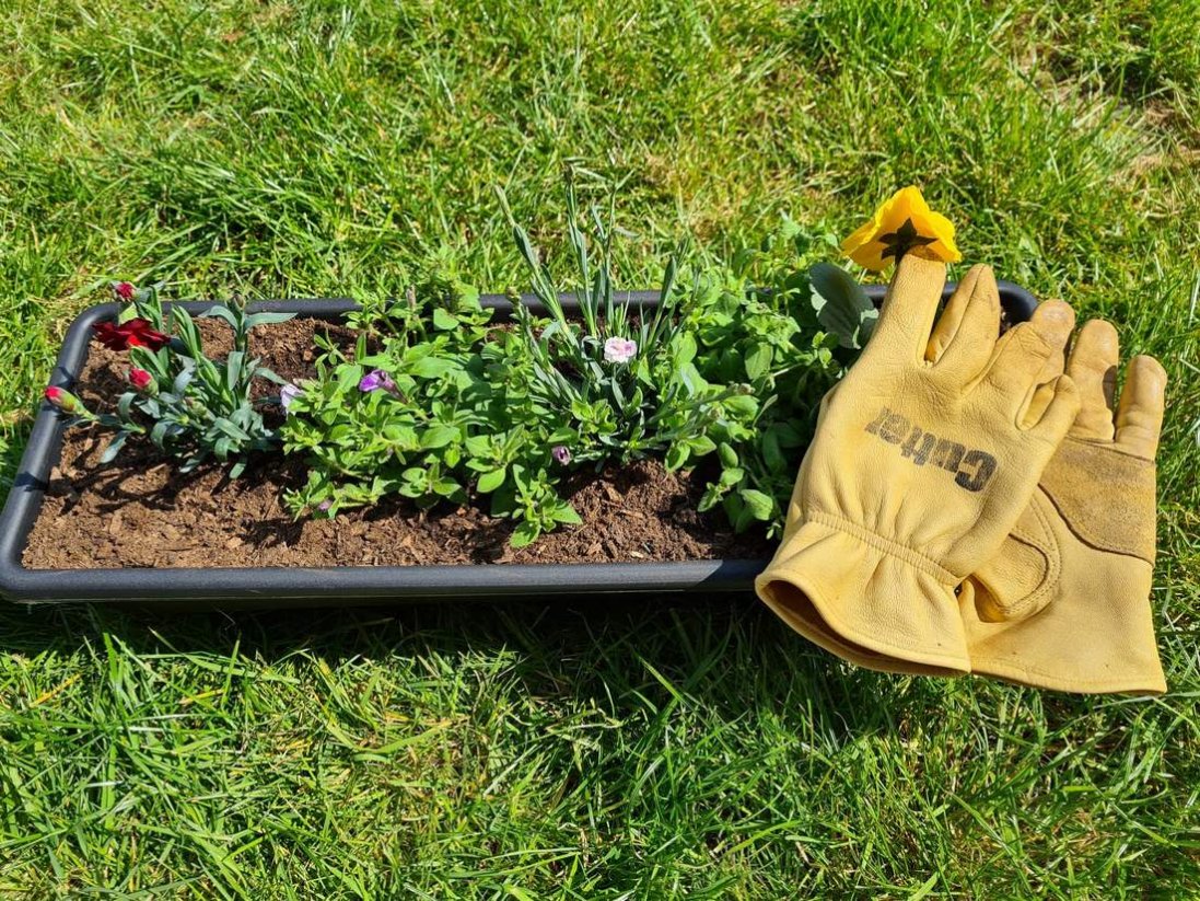Екологічно й Ефективно: Використання Садового Інвентарю для Вашого Саду