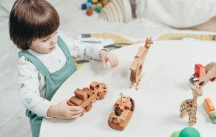 Як дерев'яні іграшки впливають на розвиток дитини?