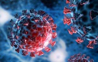 Скільки штамів коронавірусу циркулює в Україні