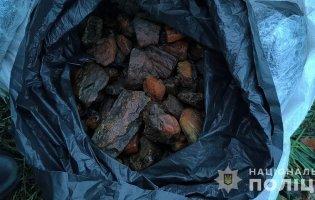 На Волині в мешканця Рівненщини вилучили 30 кг бурштину