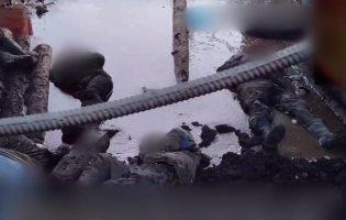 Розпочали розслідування щодо розстрілу українських полонених в Авдіївці та Веселому
