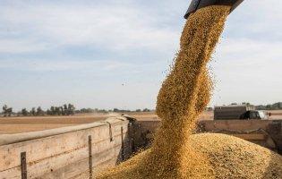 Польська блокада на кордоні: зерно експортуватимуть новим маршрутом