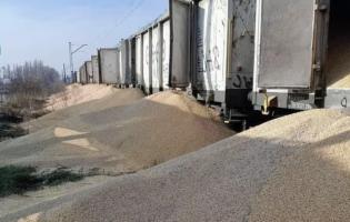 В Польщі -  четвертий випадок вандалізму: українське зерно висипали з 8 вагонів