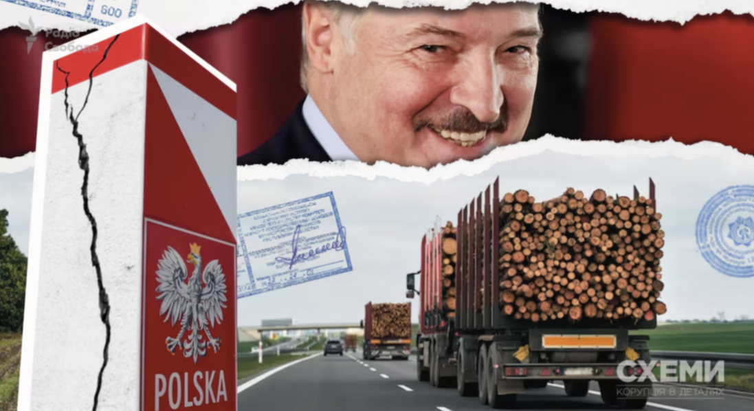 До ЄС через Польщу потрапляє білоруська деревина