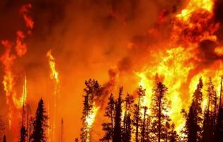 Падіння уламків безпілотника: на Львівщині загорівся майже 1 га лісу