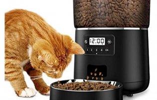 Переваги сухого корму для котів: розбираємось в деталях