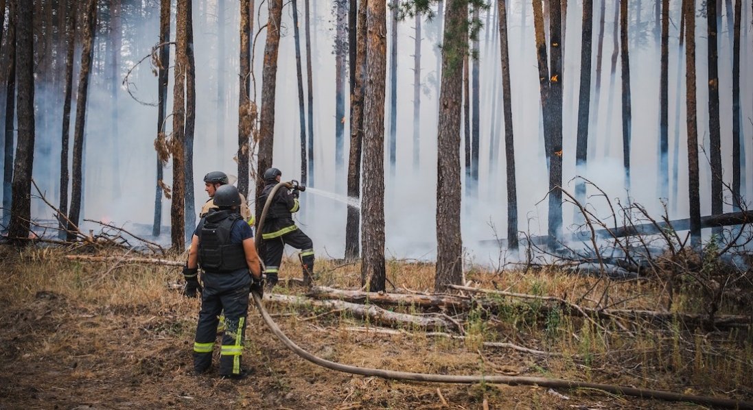 На Донеччині в «Святих горах» кілька діб ліквідовують пожежу