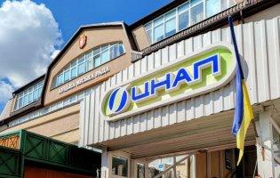 Кібератака рф: які послуги не надає луцький ЦНАП