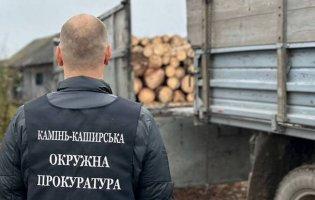 На Волині викрили масштабну схему вирубування лісів