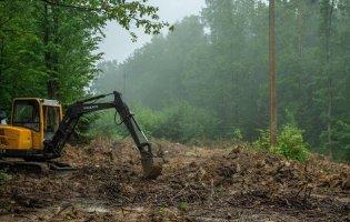 На Тернопільщині почали ексгумацію останків поляків, які загинули під час Волинської трагедії