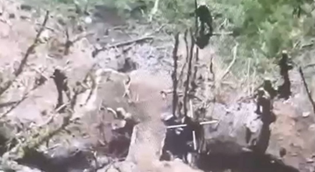 На Донеччині росіяни розстріляли трьох українських полонених