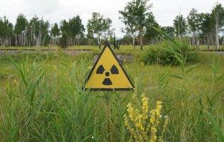 Біля Чорнобиля поля визнали придатними для сільського господарства