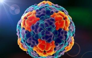 Яка на Волині ситуація з Гепатитом А